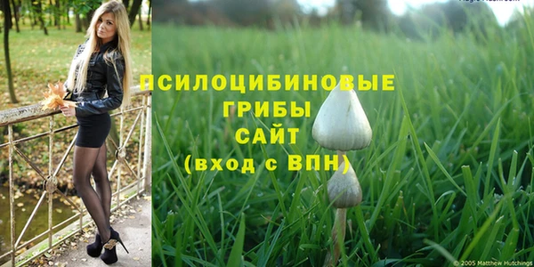 стаф Сатка
